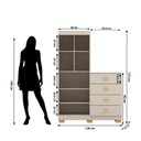 Ver imagem 4 de Cômoda Guarda-Roupa Cristal 2 Portas 4 Gavetas