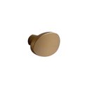 Ver imagem 1 de Puxador Ponto Beetle sem Base Dourado Zen Design Zp5403.955