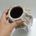 Ver imagem 7 de Vaso Decorativo Enfeite Casa Home&Co Cerâmica 30x20x20cm Bege