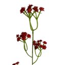 Ver imagem 5 de Kit de 20 Galhos Flor Artificial Vermelho para Vasos Festa e Centros de Mesa