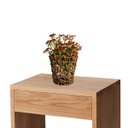 Ver imagem 6 de Kit de 20 Galhos Flor Artificial Vermelho para Vasos Festa e Centros de Mesa