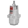 Bomba D'água Sapo Submersa 430w Lorenzetti - 1
