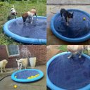 Ver imagem 4 de Tapete Chafariz Inflavel Pet Animal Infantil Verao Calor Agua Lazer Refrescante Dias Quentes Diversa