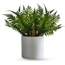 Ver imagem 5 de Kit 18 Folhagem Ruscus Artificial 35cm | Mini Buquês Decorativos com Aparência Natural