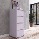 Ver imagem 1 de Gaveteiro Arquivo de Aço 4 Gavetas Of04rptcm