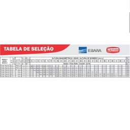 Bomba Th-16 2,0 Cv Rotor Monofásico Motor Thebe Ip55 127/220-254v - 3