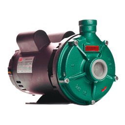 Bomba Th-16 3,0 Cv Rotor 159mm Monofásico Motor Thebe Ip23 127/220-254 - 1