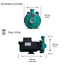 Ver imagem 2 de Bomba Th-16 3,0 Cv Rotor 159mm Monofásico Motor Thebe Ip23 127/220-254