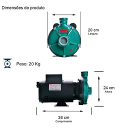 Bomba Th-16 3,0 Cv Rotor 159mm Monofásico Motor Thebe Ip23 127/220-254 - 2