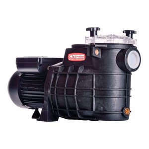 Bomba Piscina Tsw-250 1/3 Cv Monofásico Motor Thebe Ip44 127/220v