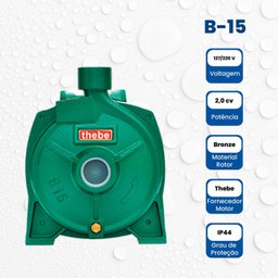 Bomba Monoestágio B-15 2,0 Cv Motor Monofásico Ip44 127/220v - 5