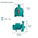 Ver imagem 3 de Bomba Monoestágio B-10 1/2 Cv Monofásico Motor Thebe Ip44 127/220v Selo / Anel Viton