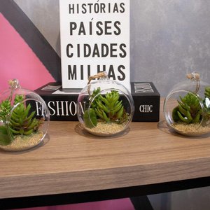 Flor Suculenta com Vaso de Vidro para Pendurar Sala Verde 11 Cm F04 - D'rossi
