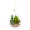 Ver imagem 3 de Flor Suculenta com Vaso de Vidro para Pendurar Sala Verde 11 Cm F04 - D'Rossi