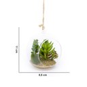 Ver imagem 4 de Flor Suculenta com Vaso de Vidro para Pendurar Sala Verde 11 Cm F04 - D'Rossi