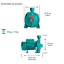Ver imagem 2 de Bomba Monoestágio B-10 1/3 Cv Monofásico Motor Thebe IP44 127/220V Selo/Anel Viton Ebara