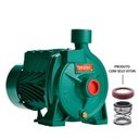 Ver imagem 3 de Bomba Monoestágio B-10 1/3 Cv Monofásico Motor Thebe IP44 127/220V Selo/Anel Viton Ebara