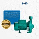 Ver imagem 6 de Bomba Monoestágio B-10 1/3 Cv Monofásico Motor Thebe IP44 127/220V Selo/Anel Viton Ebara