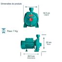 Ver imagem 2 de Bomba Monoestágio B-10 1/3 Cv Monofásico Motor Thebe Ip44 127/220v Selo / Anel Viton