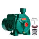 Ver imagem 3 de Bomba Monoestágio B-10 1/3 Cv Monofásico Motor Thebe Ip44 127/220v Selo / Anel Viton