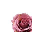 Ver imagem 3 de Jogo De Anéis De Guardanapo L'Hermitage Rosa 4Peças - 27875