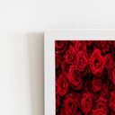 Ver imagem 2 de Rosas Buquê de Flores Vermelho Quadro Moldura Branca 60x40cm