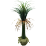 Planta Suculenta Yucca Arvore Verde Folhagem Grande 1.3m - 1