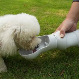 Bebedouro Portátil para Pets em Silicone - Prático e Ergonômico - 2