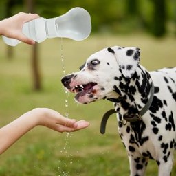Bebedouro Portátil para Pets em Silicone - Prático e Ergonômico - 5