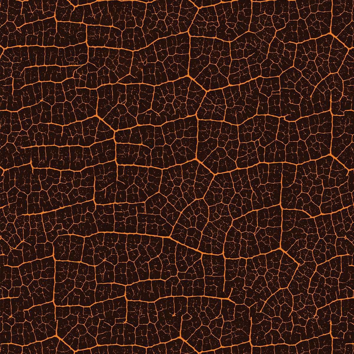 Papel de Parede 18M Jardim marrom escuro geométrica Auto Colante Vinílica Natural Vivo Realista - 7