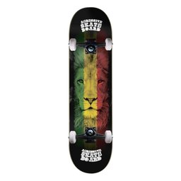 Skate Iniciante Agressive Lion - 1