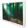 Quadro Decorativo Caixa Floresta Verde Tacolado Moldura Caixa 3cm Madeira com Vidro 80 X 120cm - 1