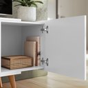 Ver imagem 3 de Rack para TV River até 55 Polegadas 2 Portas Branco Fosco Colibri Decor