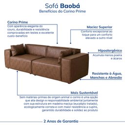 Sofá 2 Lugares 260cm Baobá CabeCasa MadeiraMadeira - 5