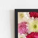 Ver imagem 2 de Quadro Crisântemo Flores Coloridas Moldura Preta 60x40cm