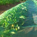 Ver imagem 4 de Tela Mosquiteiro 3 Metros Janela Porta Plantaçao Multiuso Mosquito Inseto Mosca Larva Pernilongo Seg