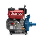 Ver imagem 2 de Motobomba a Gasolina B4t-715 S 42,5x37x42 Cm