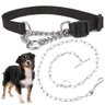 Coleira Guia Corrente Cachorro Semi Enforcadora Corrente Aço - 1