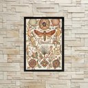 Ver imagem 1 de Quadro Decorativo Abundância 24x18cm - com vidro:Madeira branca