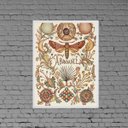 Ver imagem 2 de Quadro Decorativo Abundância 24x18cm - com vidro:Madeira branca