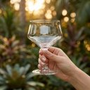 Ver imagem 3 de 6 Taças para Sobremesa Cristal Cettia 295ml Bohemia