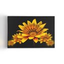 Ver imagem 1 de Quadro Gazânia Flor Amarela e Laranja Canvas 100x70cm
