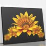 Quadro Gazânia Flor Amarela e Laranja Canvas 100x70cm - 2
