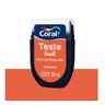 TINTA TESTE FÁCIL 30ML BOLA DE BASQUETE (LARANJA) CORAL - 1
