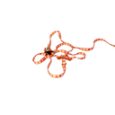 Ver imagem 6 de Conjunto Peitoral Ajustável RBPet com Guia - Cães de Mini Porte