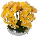 Ver imagem 1 de Arranjo 6 Flores De Orquídeas Amarelas Vaso Prateado