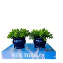 Ver imagem 1 de Kit livro p/ decorar porta objetos + dupla vaso azul decor