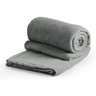 Cobertor Manta Casal Soft Microfibra, 180x220 Cm, Toque Macio, 180g/m² Quentinha Cores Variadas:cinz - 1