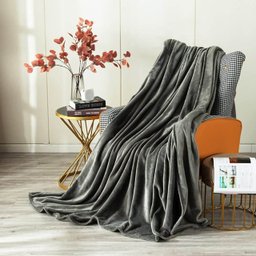 Cobertor Manta Casal Soft Microfibra, 180x220 Cm, Toque Macio, 180g/m² Quentinha Cores Variadas:cinz - 4