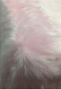 Ver imagem 2 de Puff Pé Palito Redondo Não É Segredo Astracan Pelúcia Rosa Pés Branco 40x45